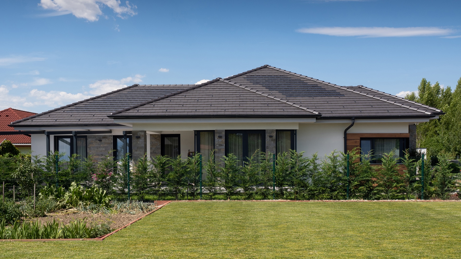 Zenit Carbon+Generon DARK